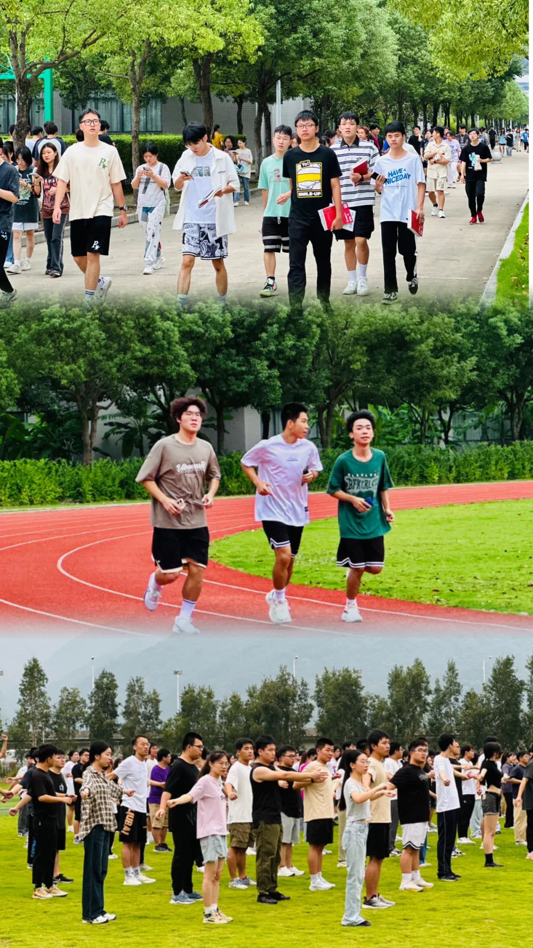 一日之计在于晨 加油“犇”向未来