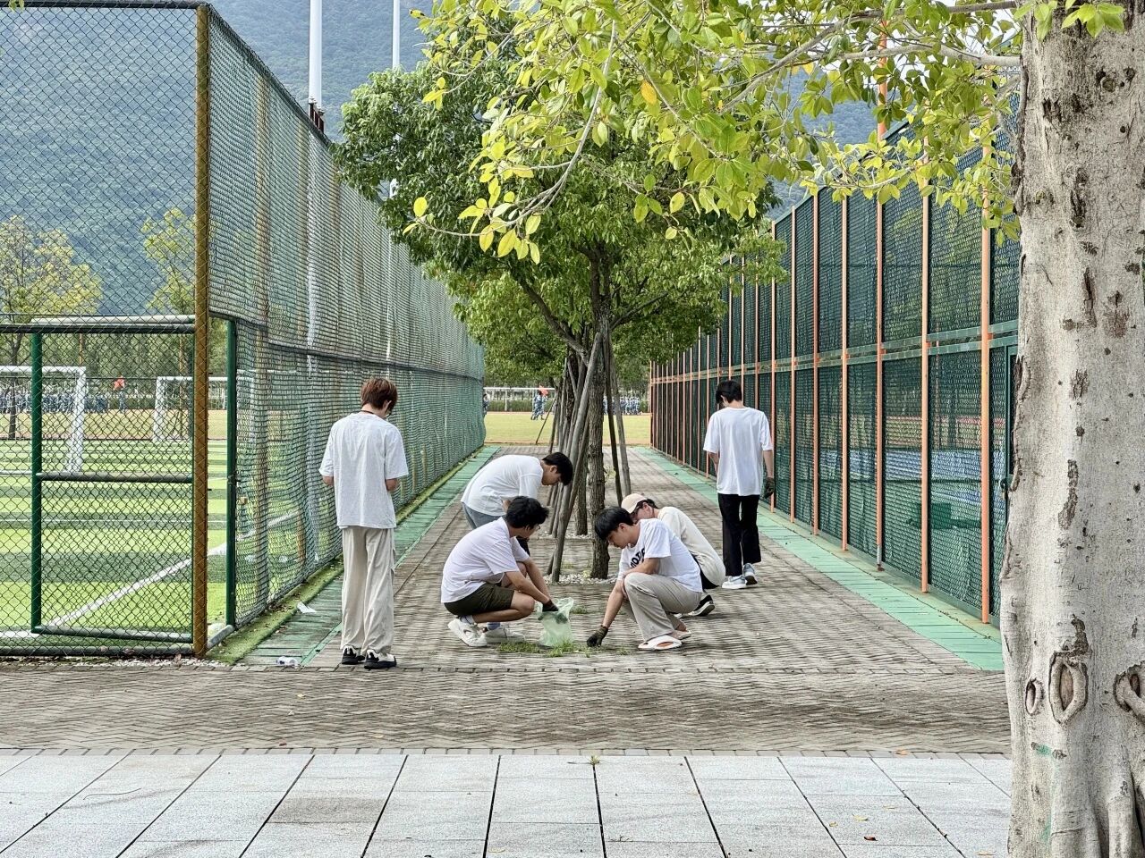 气候·物候·劳动时候｜智能建造学院“跟着节气去劳动”系列实践活动之寒露