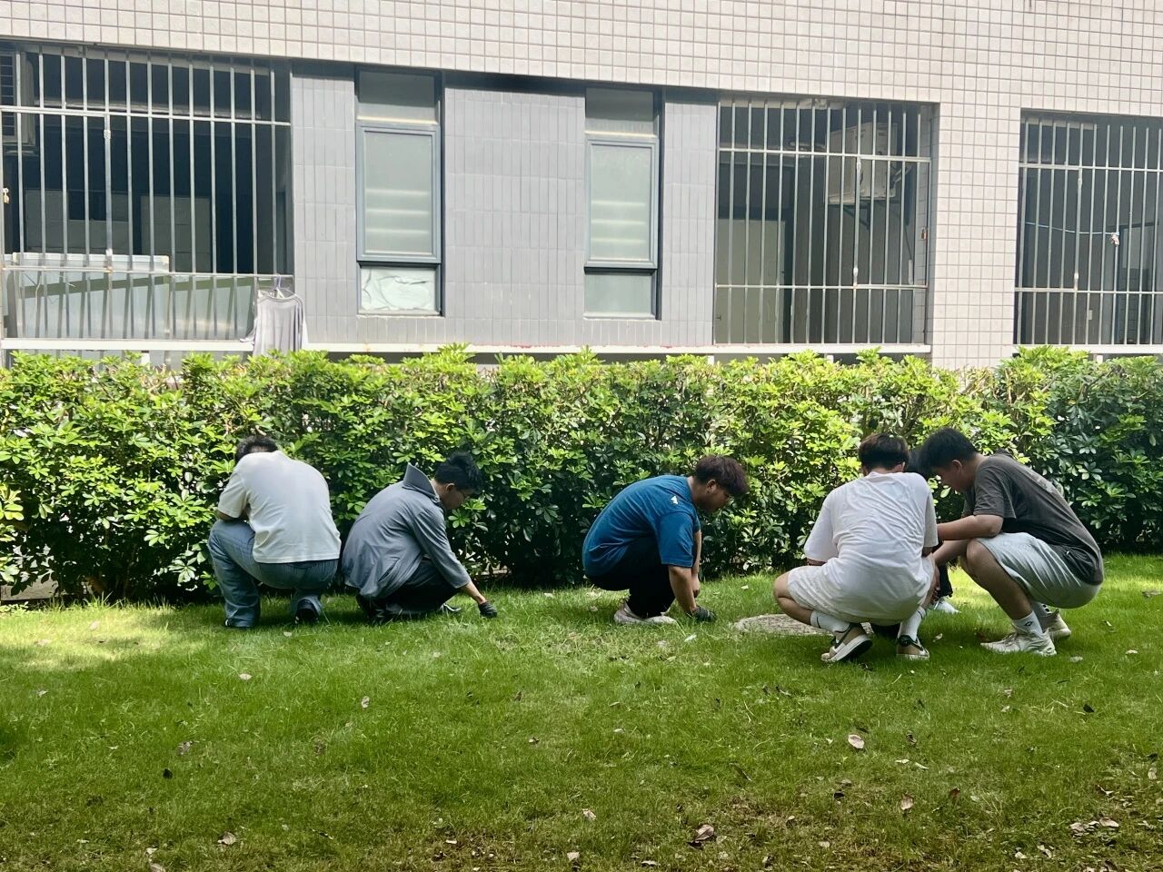 气候·物候·劳动时候|智能建造学院“跟着节气去劳动”系列实践活动之霜降