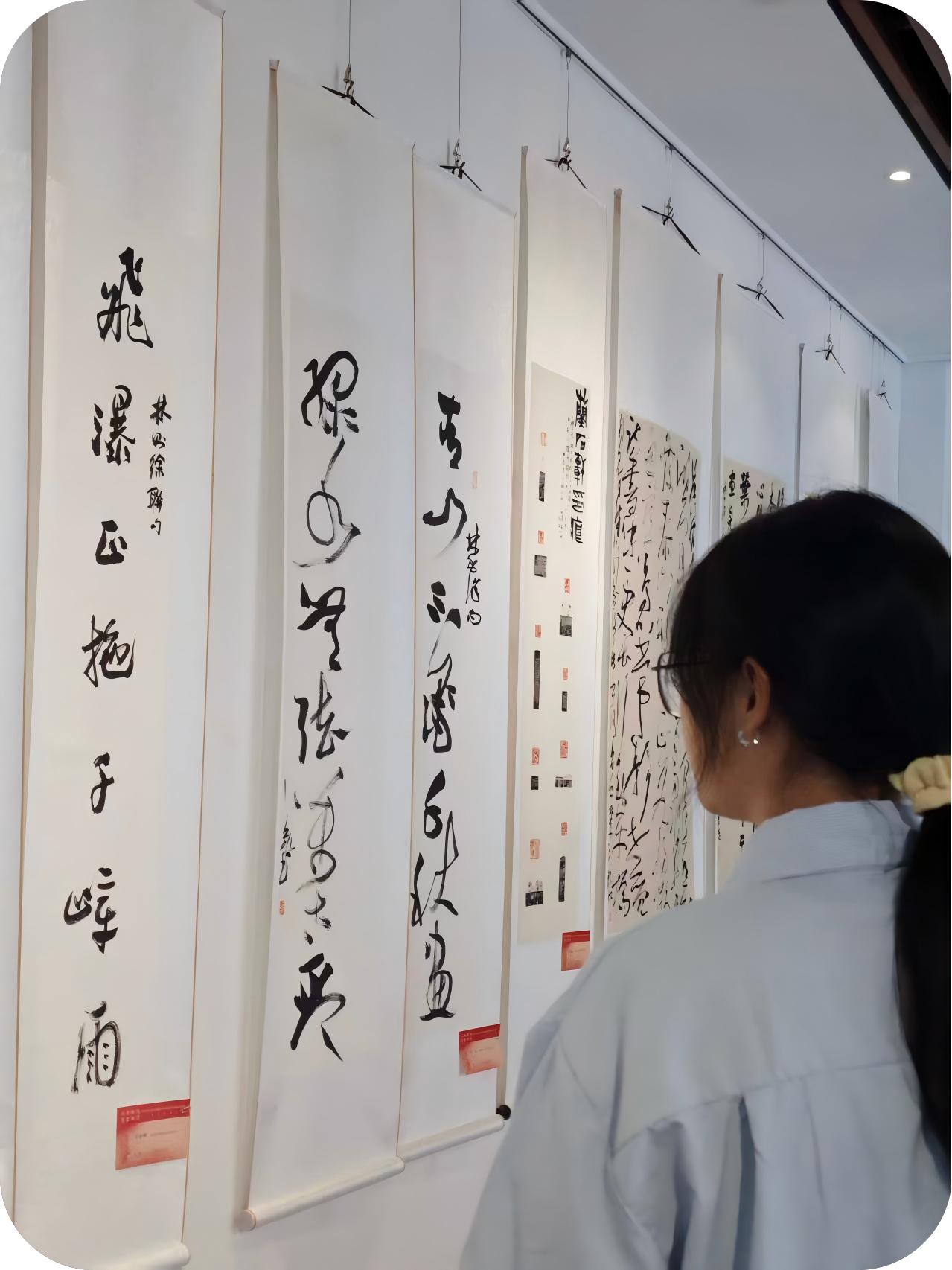 陆晨铃：锐意进取，开拓创新