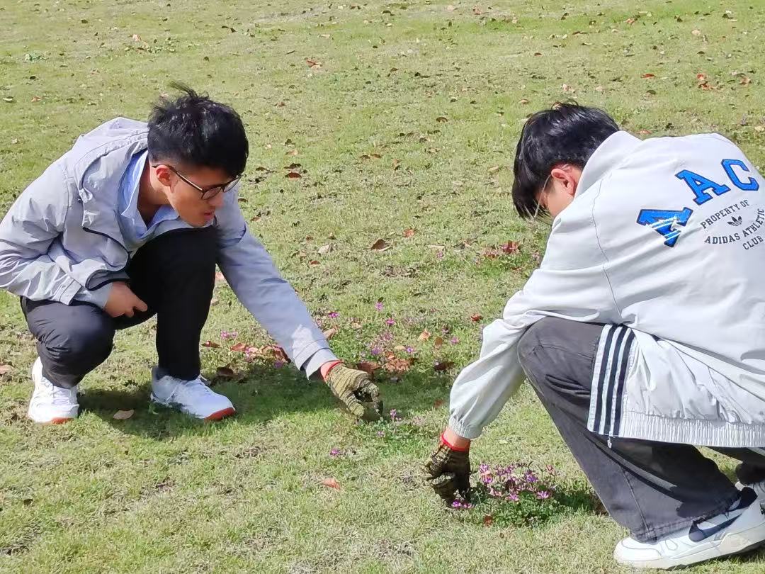 气候·物候·劳动时候｜智能建造学院“跟着节气去劳动”系列实践活动之谷雨