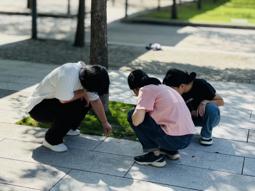 气候·物候·劳动时候｜智能建造学院“跟着节气去劳动”系列实践活动之秋分